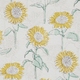 Click Here to Order Free Sample of Gracie Sunshine Roller blinds