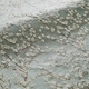 Click Here to Order Free Sample of Catkin Duck Egg Roman blinds