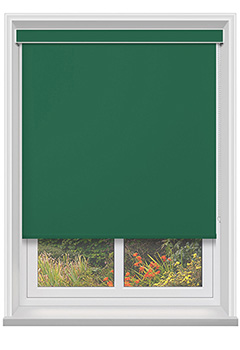 Bella Cacti with Cassette 