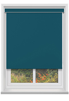 Bella Mambo with Cassette Blackout Blind