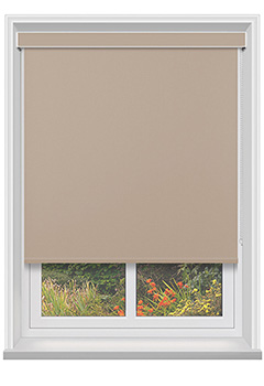 Bella Placid with Cassette Thumbnail image