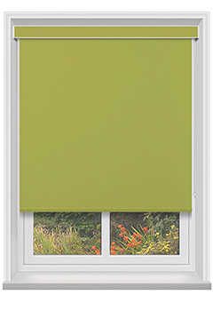 Bella Vine with Cassette Blackout Blind