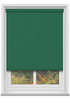 Twist to Fit Bella Cacti 