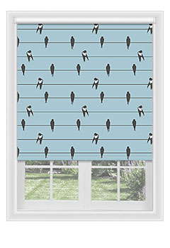 Keswick Swallows 
