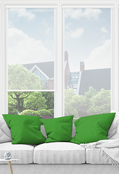 Sheer Bright White Roller Shade 