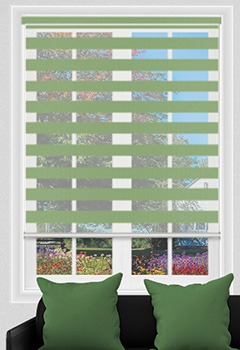Beam Greenery Dual Shade Day & Night Blind