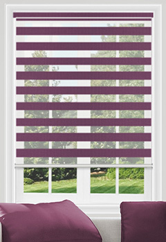 Beam Orchid Dual Shade 