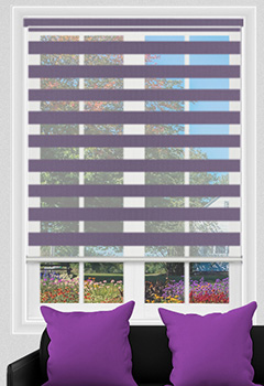 Beam Purple Dual Shade 