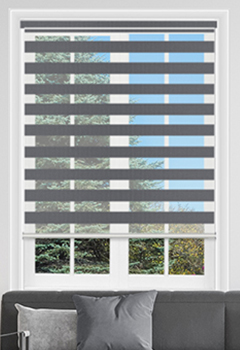 Illumine Graphite Dual Shade 