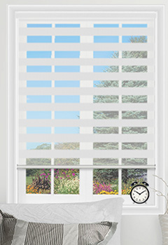 View White Dual Shade 