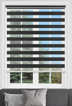 Vision Black Dual Shade 