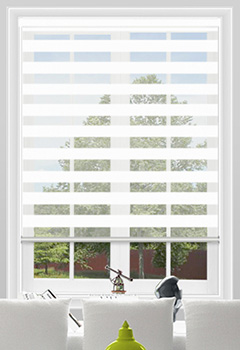 Vision White Dual Shade 