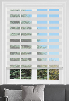 Luminary Silver Dual Shade Day & Night Blind