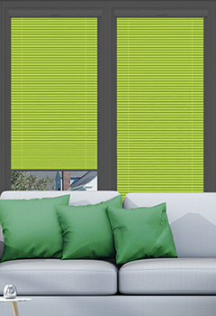 Intu Apollo Grass (BO) Honeycomb Intu Pleated Blind