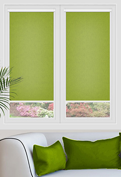 Carnival Kiwi Dimout Intu Roller Blind
