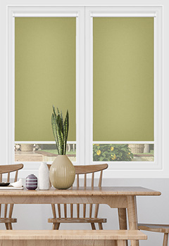 Carnival Willow Dimout Intu Roller Blind
