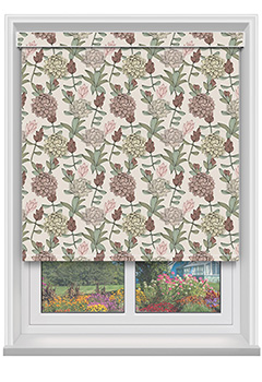 Dahlia Blush with Cassette 