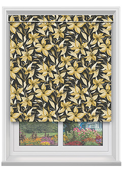 Stargazer Blackout Ochre with Cassette 