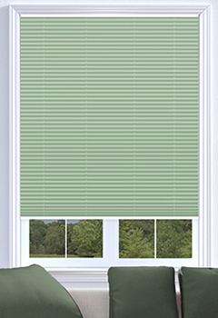 Elan Pine Blackout Duette 