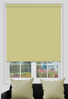 Electric Polaris Acid Blockout New Blind