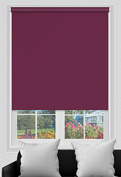 Electric Polaris Raspberry Blockout 