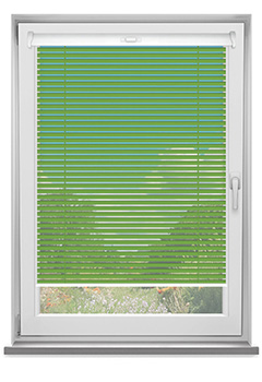 Fresh Apple 25mm New Blind