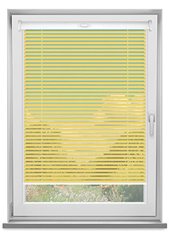 Golden Yellow 25mm New Blind