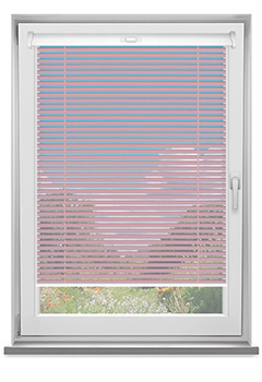 Pink Blossom 25mm New Blind