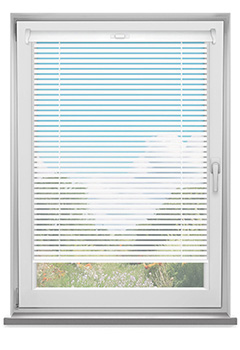 White 25mm New Blind