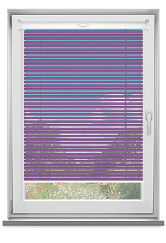 Wild Plum 25mm 