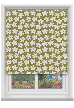 Daisy Khaki old 