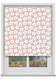 Daisy Pink Old 