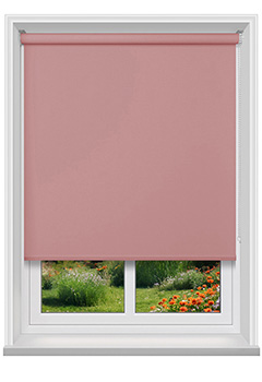 Bonford Bossa New Blind