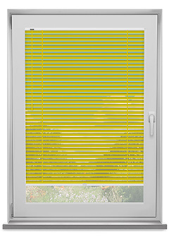 Citrine 25mm Frame Fix New Blind