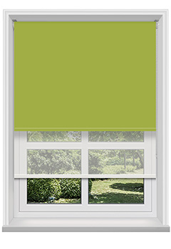 Double Roller Bella Vine & Cotton Voile New Blind