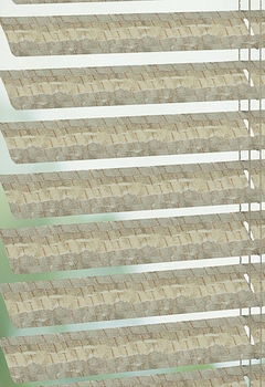 4060 Studio Ginger 25mm New Blind