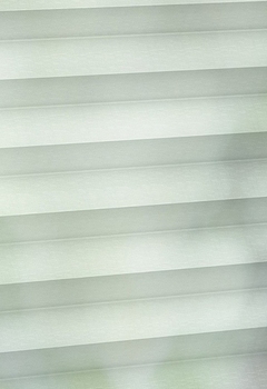 8081 Tupelo New Blind