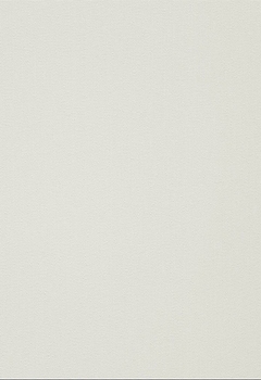 0261 Elements New Blind