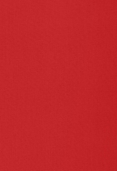 0292 Esterno RD New Blind