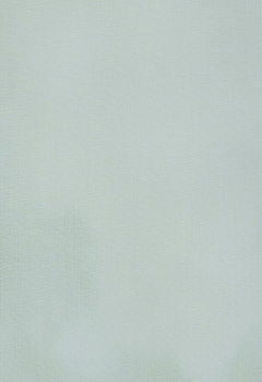 0324 Elegance New Blind