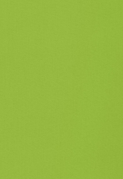 0613 Lumiere RD New Blind