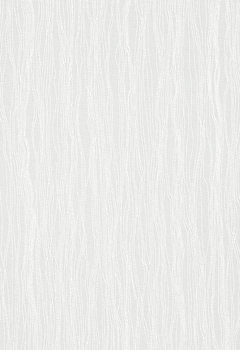 1206 Camara New Blind