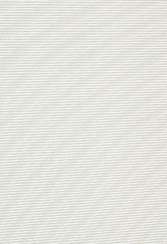 1245 Maracana New Blind