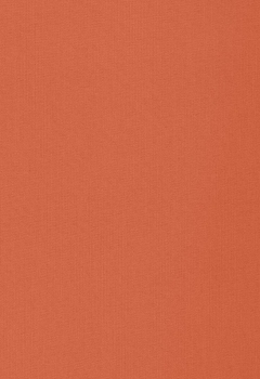 1638 Esterno RD New Blind