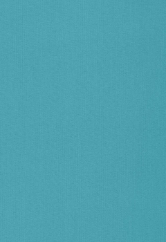 1651 Esterno RD New Blind