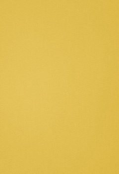 1685 Elements New Blind