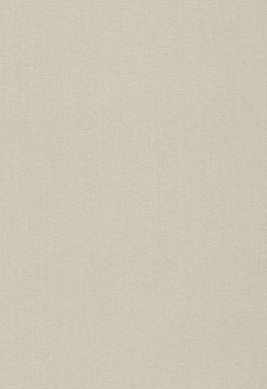 1697 Lumiere RD New Blind