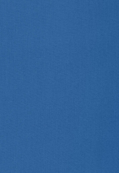 2169 Lumiere RD New Blind