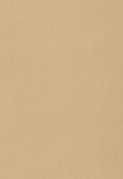 2173 Lumiere RD New Blind