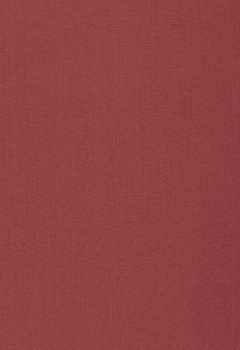 2175 Lumiere RD New Blind